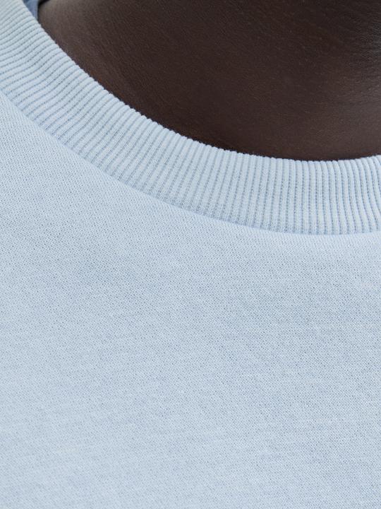 Produktbild Jack & Jones Jjebradley Sweat Crew Noos (M)