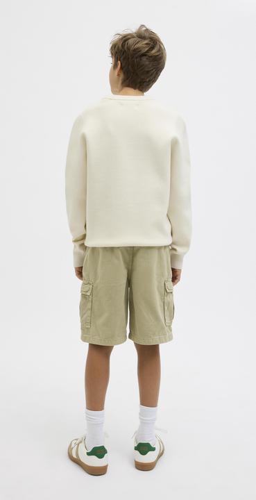 Image du produit Jack & Jones Loose Fit Loose Fit Shorts Junior Loose Fit Shorts (170)