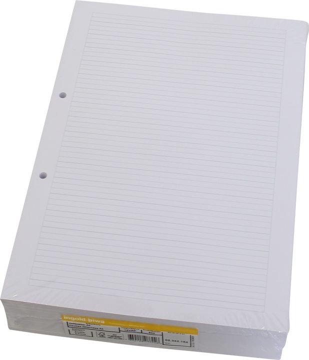 Actual product image Ingold-Biwa Fogli per raccoglitore ad anelli