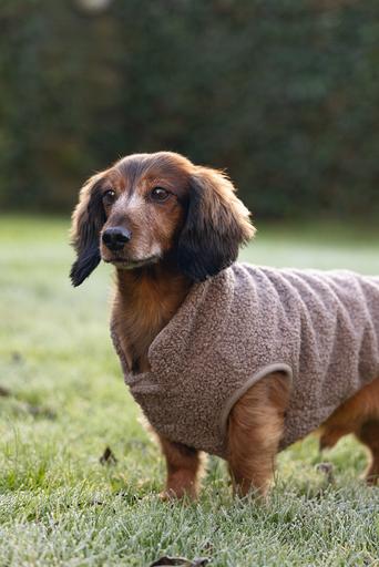 Actual product image Designed by Lotte Madeleine dog jumper (XL, Dog jumper)