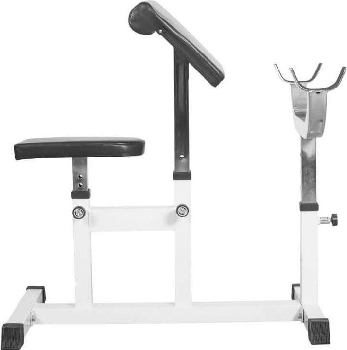 Image du produit Gorilla Sports Banc de curl biceps