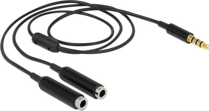 Image du produit Delock Câble répartiteur audio 3.5 mm jack - 2x 3.5mm femelle (0.25 m, Câble jack 2,5 mm)