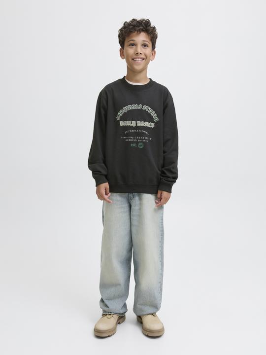 Image du produit Jack & Jones Junior Pullover MEADOWS Sweatshirt (140)