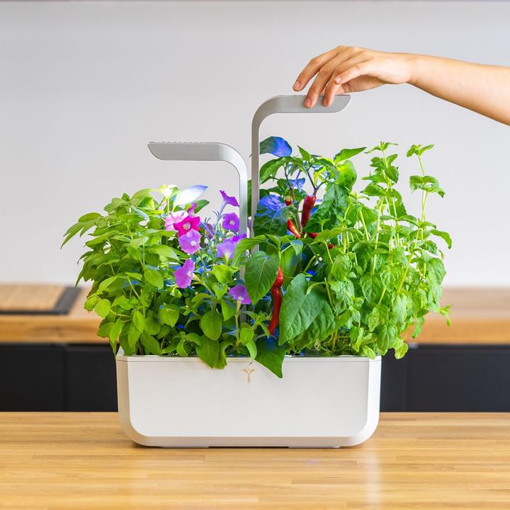 Produktbild Véritable Smart (18.50 cm)