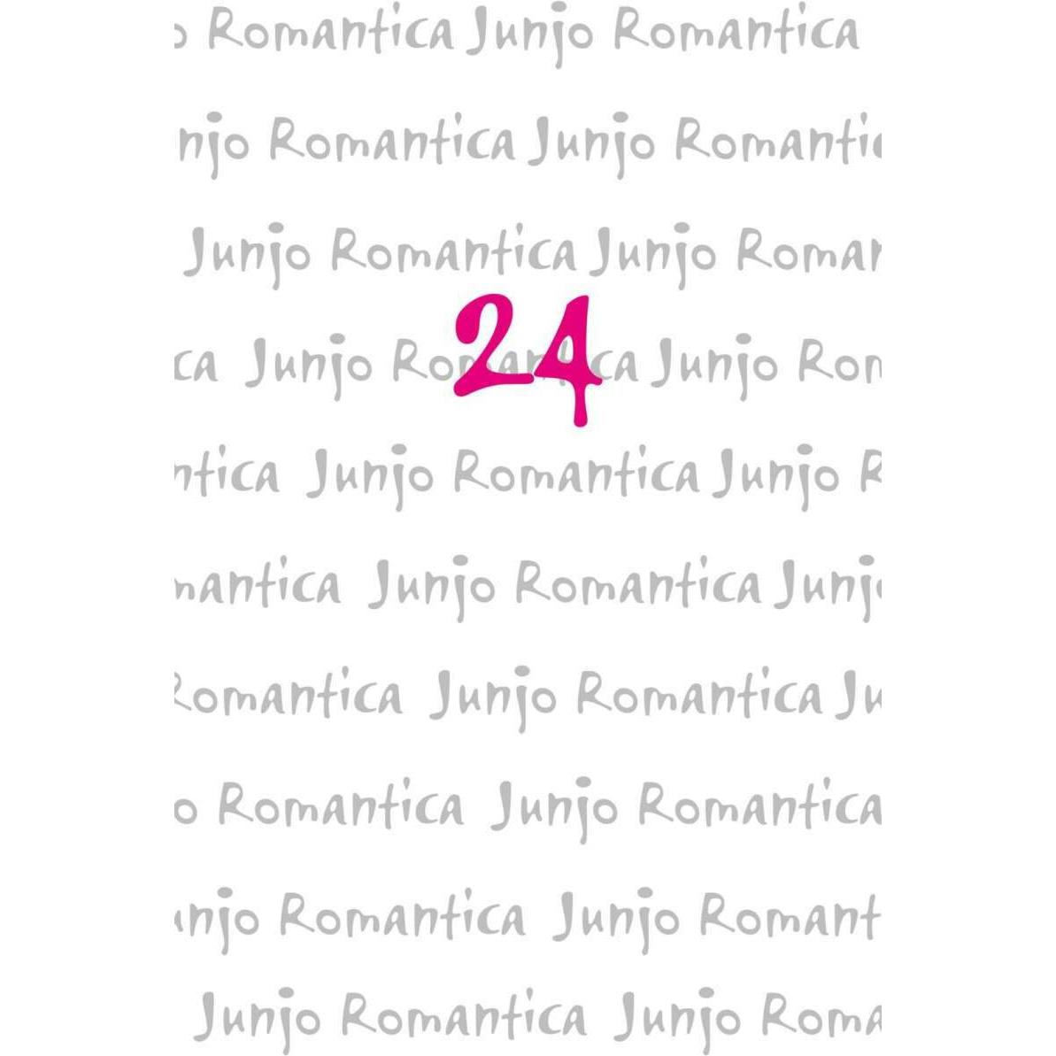 Junjo Romantica 24, Belletristik von Shungiku Nakamura