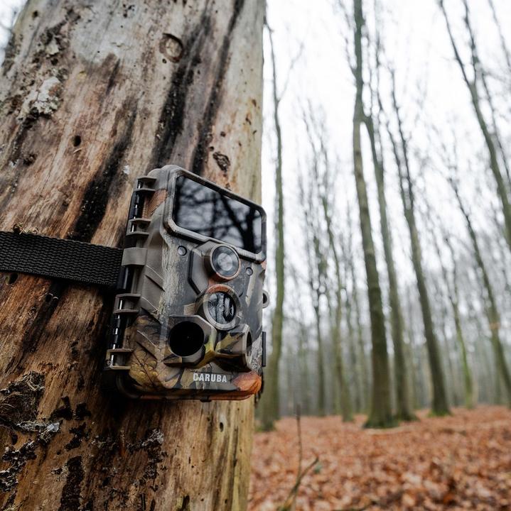 Produktbild Caruba Wildcamera Moose 4K
