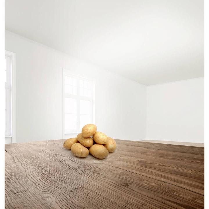 Actual product image Bosch Hausgeräte Mum4427 (500 W, 3.90 l)