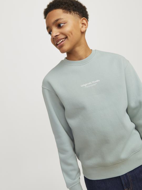 Produktbild Jack & Jones Jorvesterbro Sweat Crew Neck Bn Mni (110)