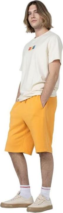 Actual product image Outhorn Men's shorts (74)