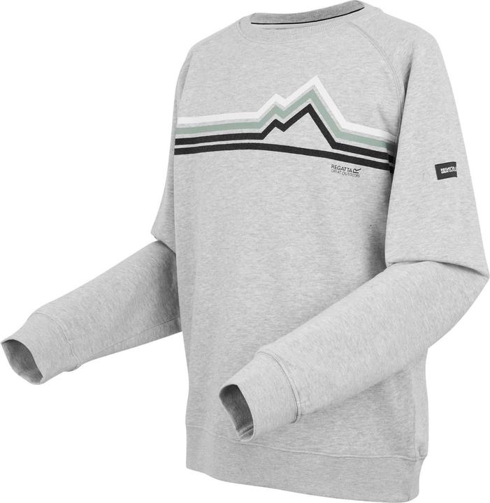 Image du produit Regatta - Sweat NITHSDALE - Homme (XXL)