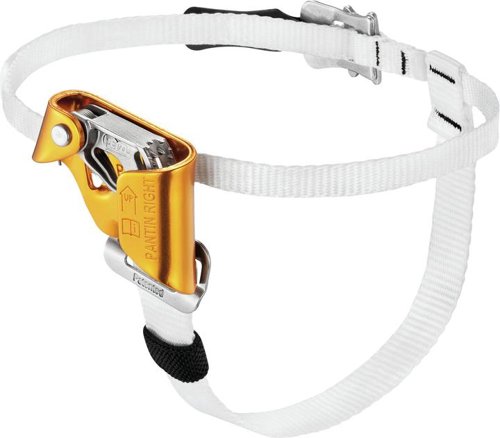 Actual product image Petzl Pantin