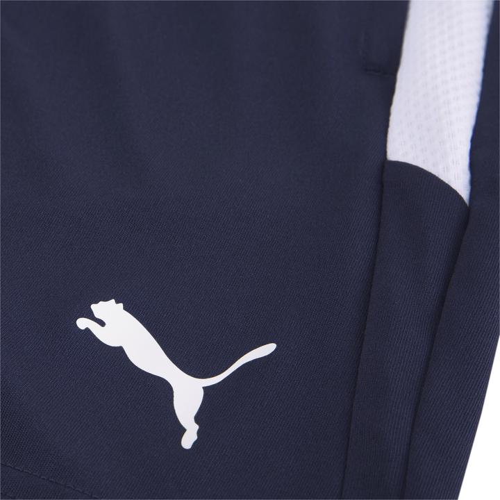 Actual product image Puma teamLIGA Training Shorts Jr-657250 (152)