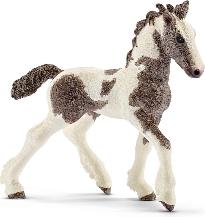 Schleich Tinker Fohlen