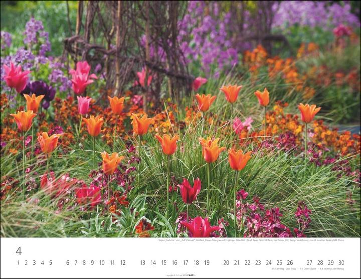 Immagine prodotto Gräser Kalender 2026 (44 x 34 cm)