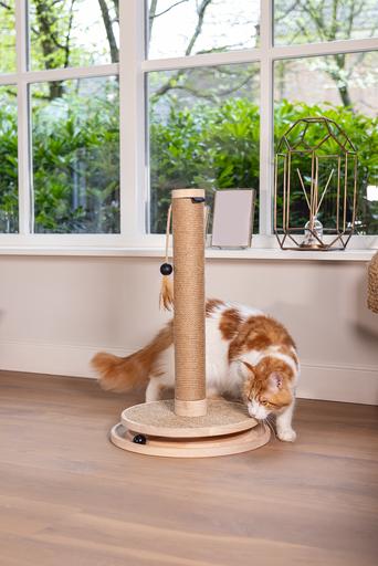 Image du produit Designed by Lotte Zavi (62 cm, Brown)