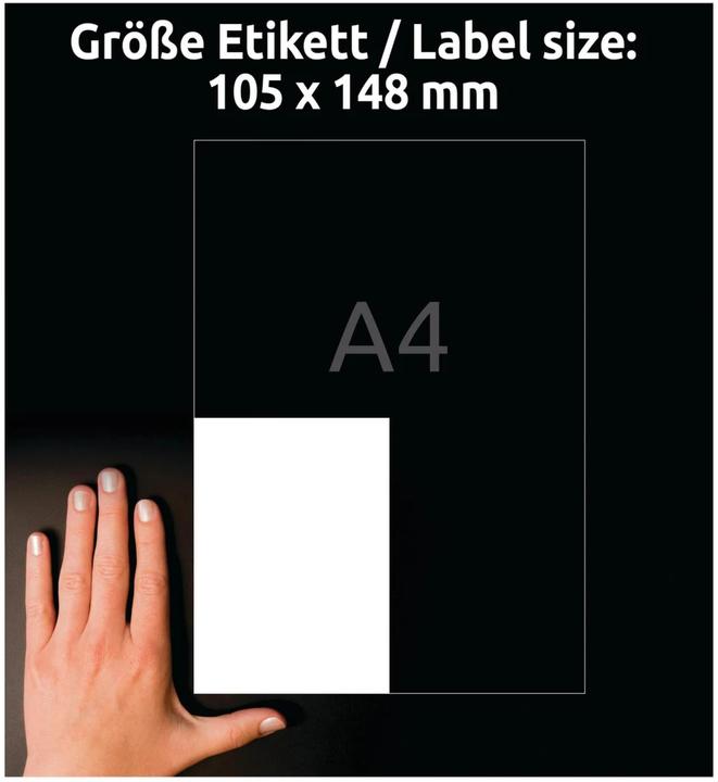 Produktbild Avery L4719-20