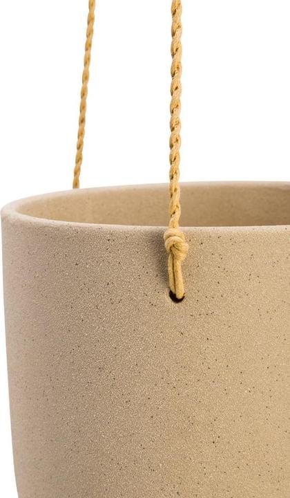 Image du produit pfister Siana (15.50 cm)