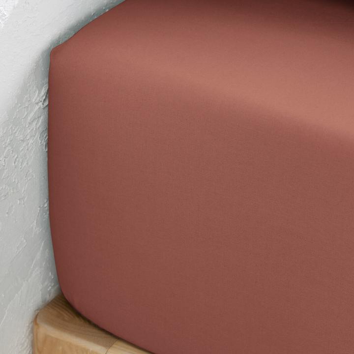 Produktbild La Redoute Interieurs Fixleintuch Scenario aus Baumwollperkal (140 x 200 cm)