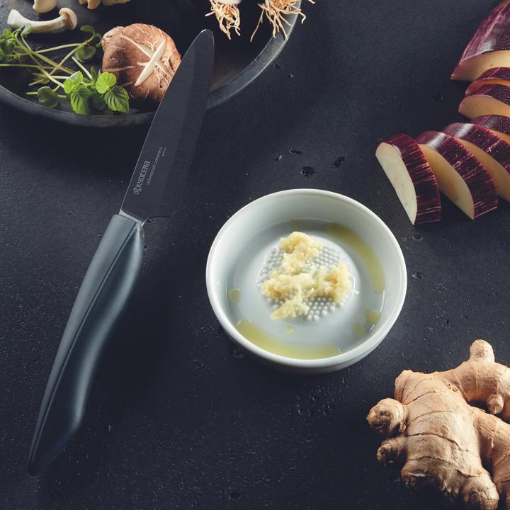 Actual product image Kyocera CY-10 Klein