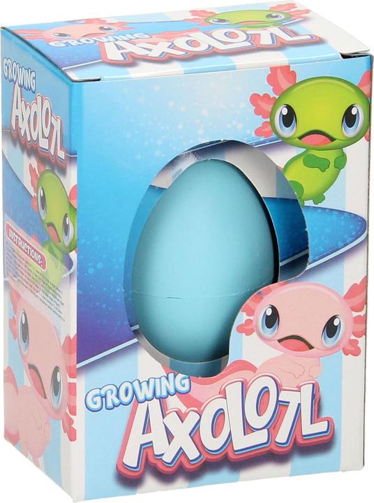 Image du produit Roost Ei mit wachsendem Axolotl