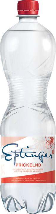 Image du produit Eptinger Eau minérale PET (1 x 100 cl)