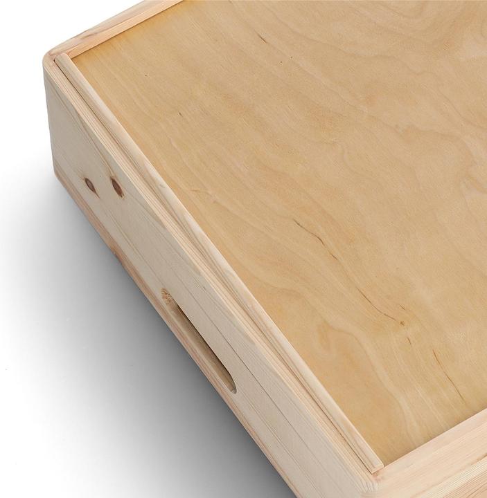 Actual product image Zeller Present All Purpose Box (60 x 40 x 15 cm, 36 l)