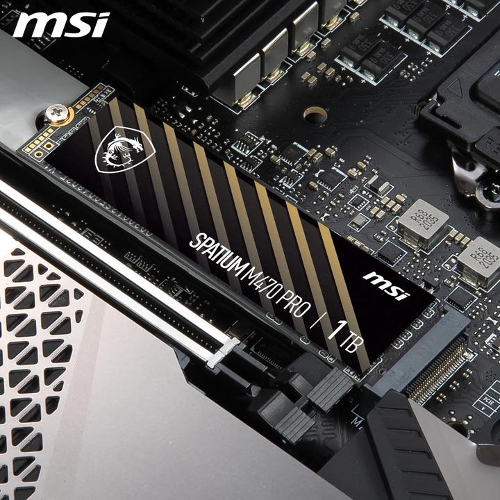 Actual product image MSI Spatium M470 Pro (1000 GB, M.2 2280)
