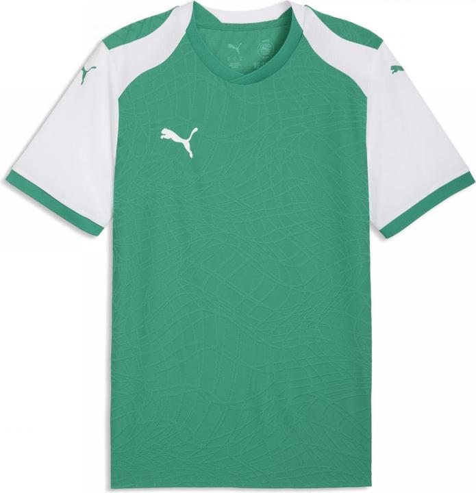 Produktbild Puma teamFINAL26 Knit Jersey (S)