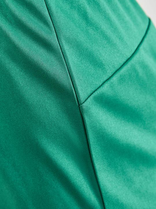 Produktbild Craft Progress 2.0 Shorts W (S)