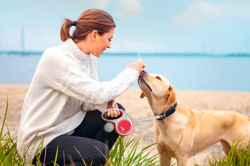 Actual product image Flexi New Comfort (M, Dog, Walks)