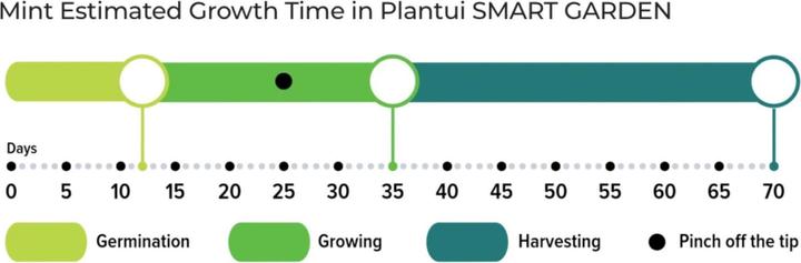 Immagine prodotto Plantui Menta (Semi di erbe)