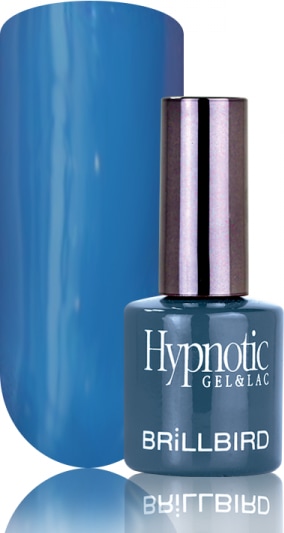 Produktbild BrillBird Hypnotic G&L “6” – 8ml (UV-Gel Lack)