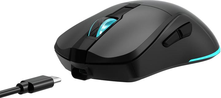 Produktbild Baracuda BGM-121 Schildkröte Schwarz (Kabellos)
