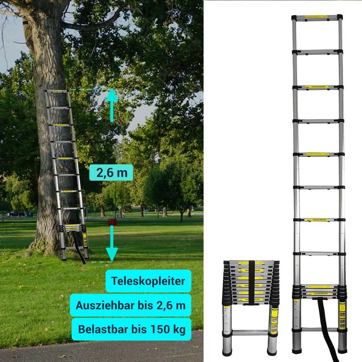 Actual product image Eaxus Teleskopleiter (Telescopic ladder, 260 cm)