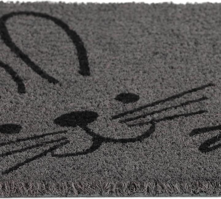 Image du produit Relaxdays Paillasson coco (60 x 40 x 1,5 cm)