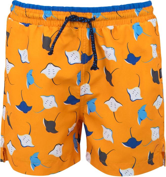 Immagine prodotto Regatta Skander III Costume Bermuda Pastinaca Ragazzi (164)