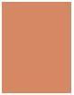 Actual product image Dermacol Pretty Matte (02)