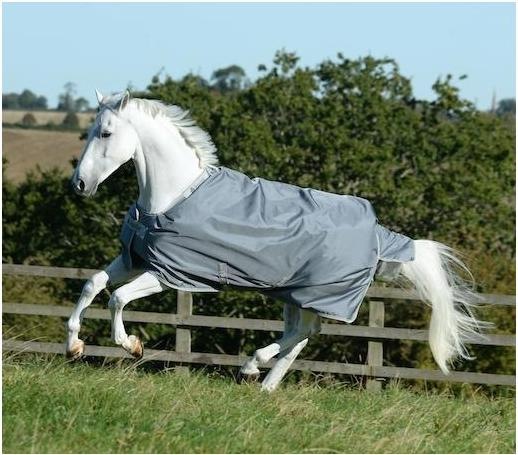 Produktbild Bucas Weidedecke Smartex Rain (155 cm)