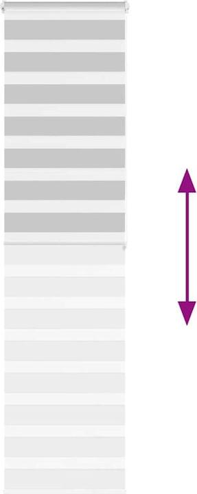 Produktbild vidaXL Zebra-Jalousie (55 x 200 cm)