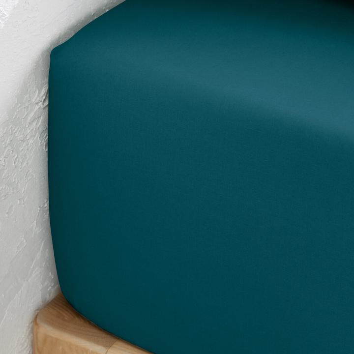 Produktbild La Redoute Interieurs Percale Unie Best (180 x 200 cm)