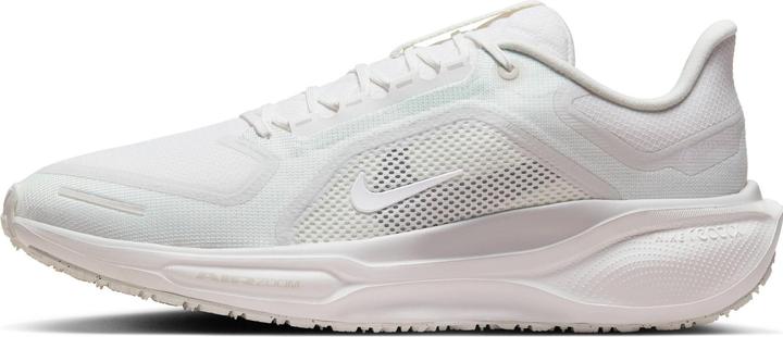 Produktbild Nike Pegasus 41 Gore-Tex (45.5)