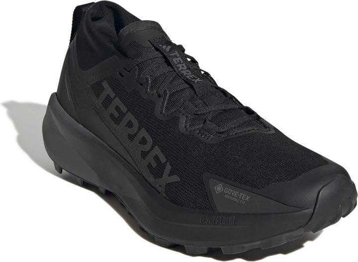 Produktbild Adidas Terrex Agravic GTX Trail (48)