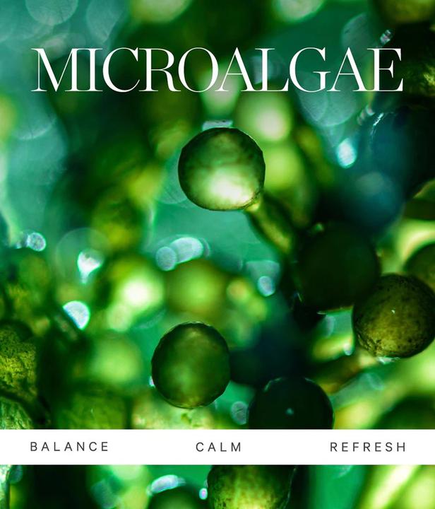 Actual product image Kora Active Algae Lightweight Moisturizer (50 ml)