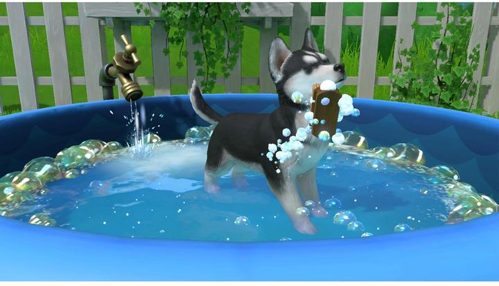 Produktbild Fireshine Games Little Friends: Puppy Island (Switch, DE)