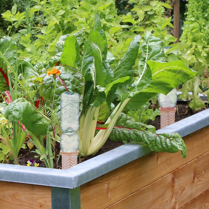 Actual product image Relaxdays 4x clay cone (Clay cone)