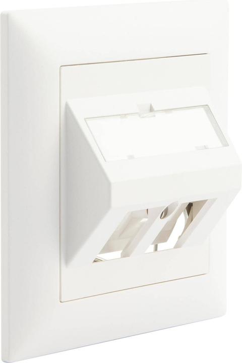 Dätwyler Network socket UP60 2x Keystone 1 piece