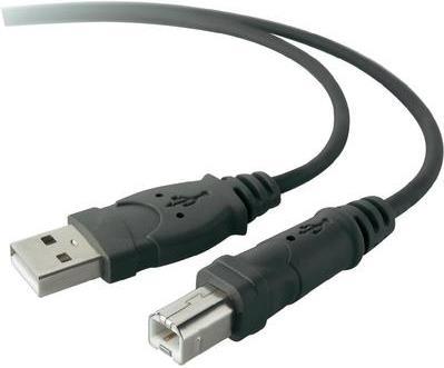 Actual product image Belkin USB A – USB B (1.80 m, USB 2.0)