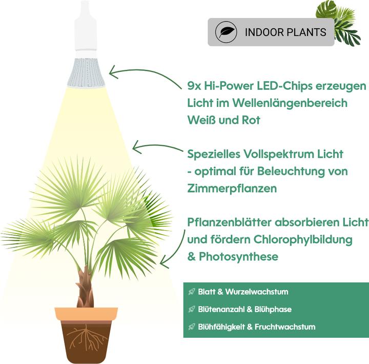 Produktbild Venso Grow Light Standard 6W 60° (LED, 245 V)
