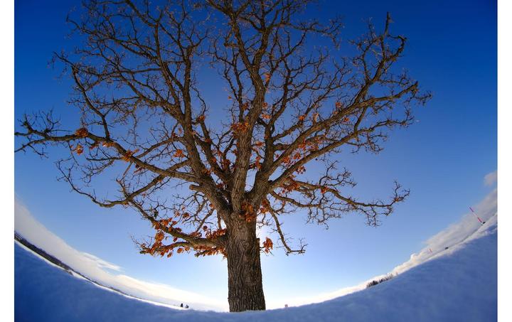 Produktbild Tokina SZ 8mm F2.8 MF Fuji X-Mount (Fujifilm X, APS-C / DX)