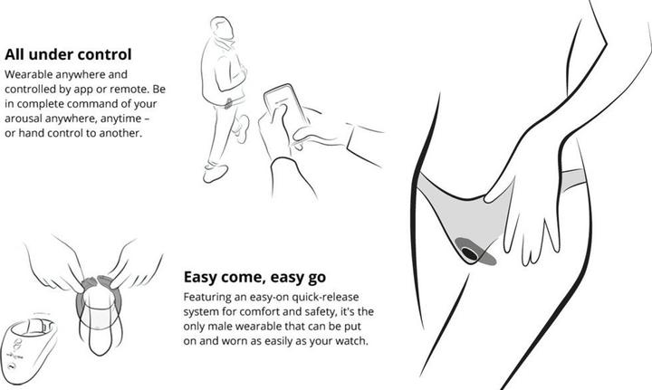 Actual product image We-Vibe Tease Us